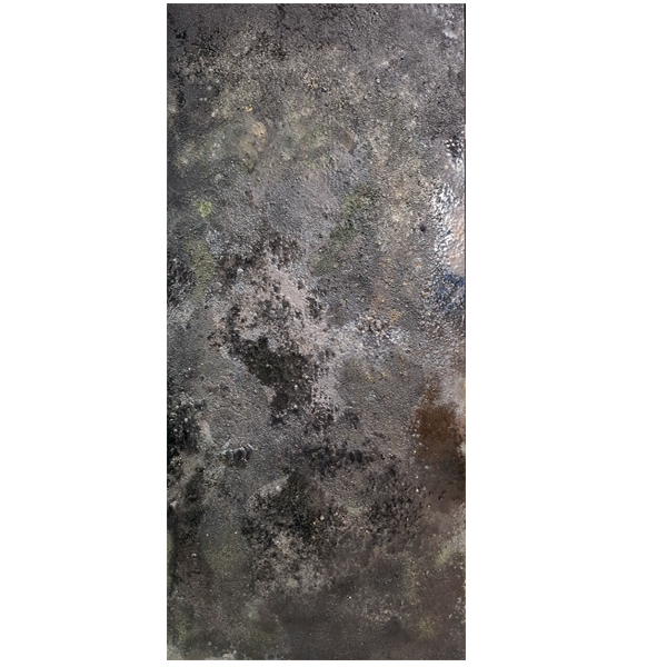Alternative view of Paolo Biagioli "La Notte"