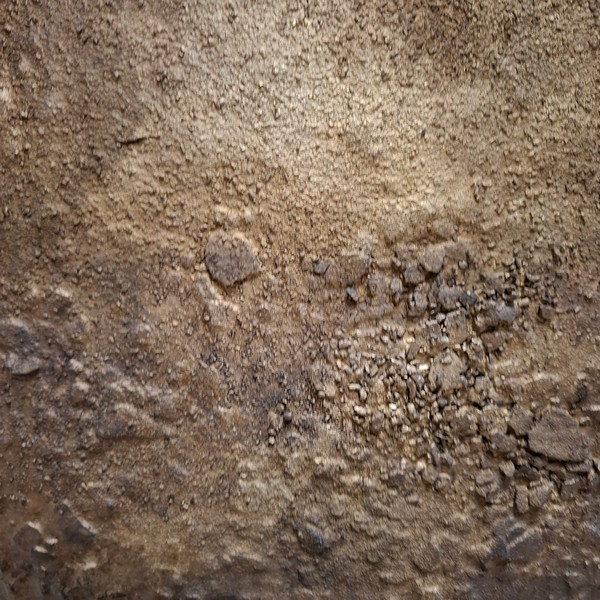 Paolo Biagioli "L'Oro della Misericordia" - immagine 3